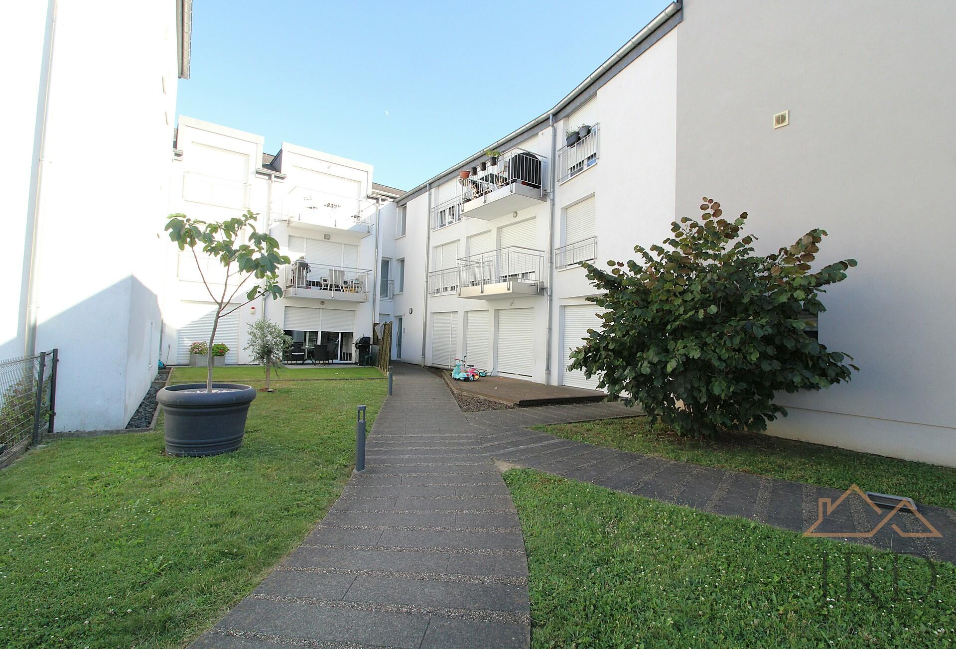 Image 26