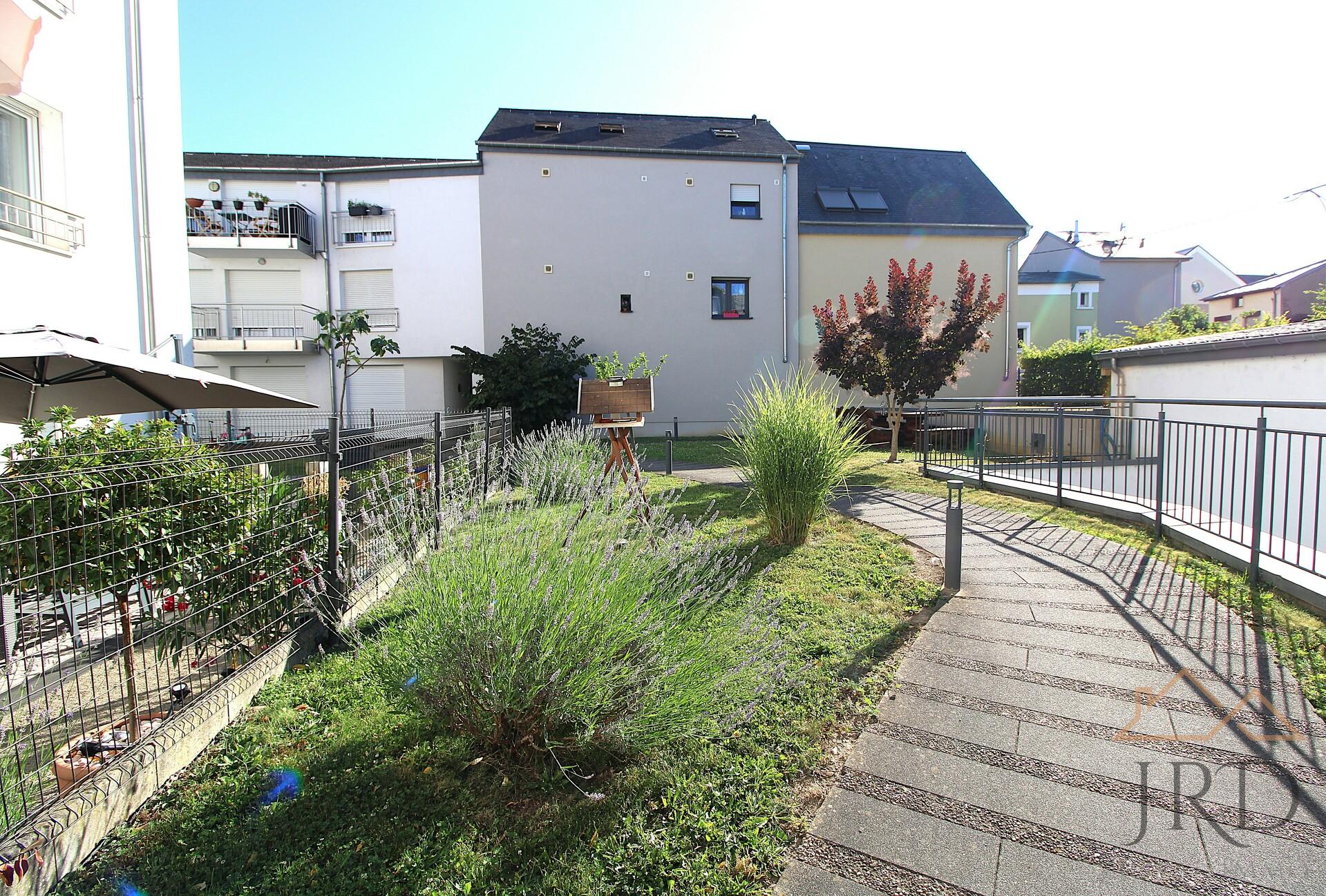 Image 29